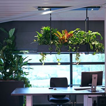 2800 - Oslo plantenlamp