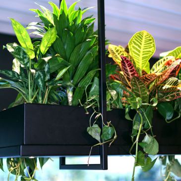 2800 - Oslo plantenlamp