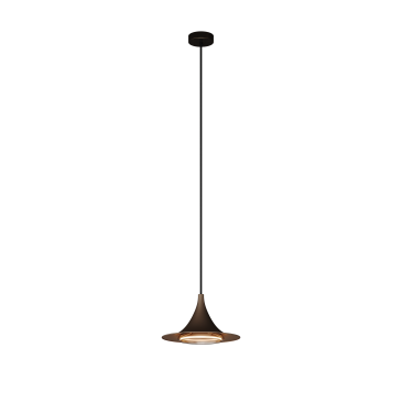 6750 - Arezzo hanglamp 1 lichts 