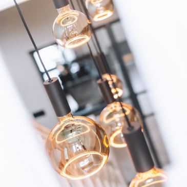 40080 - Segula 007 hanglamp organisch 140cm - 8 lichts 